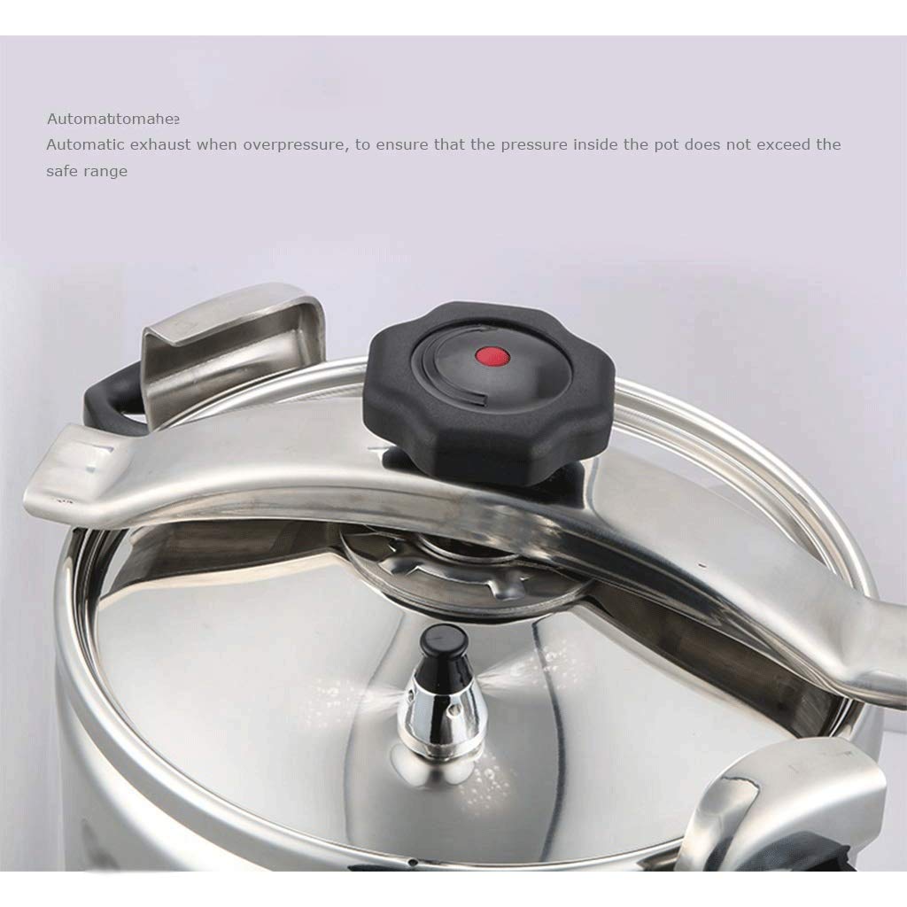 Stainless Steel Electric Pressure Cooker 3L J5678