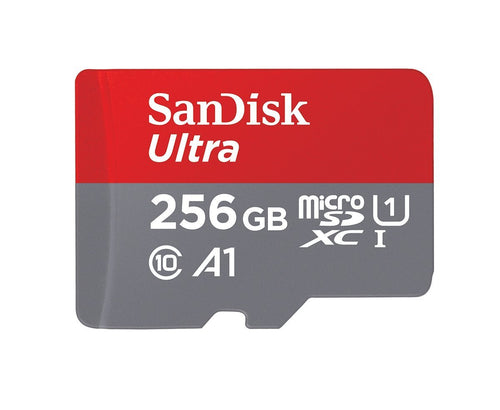 256GB MicroSD Memory Card U1306