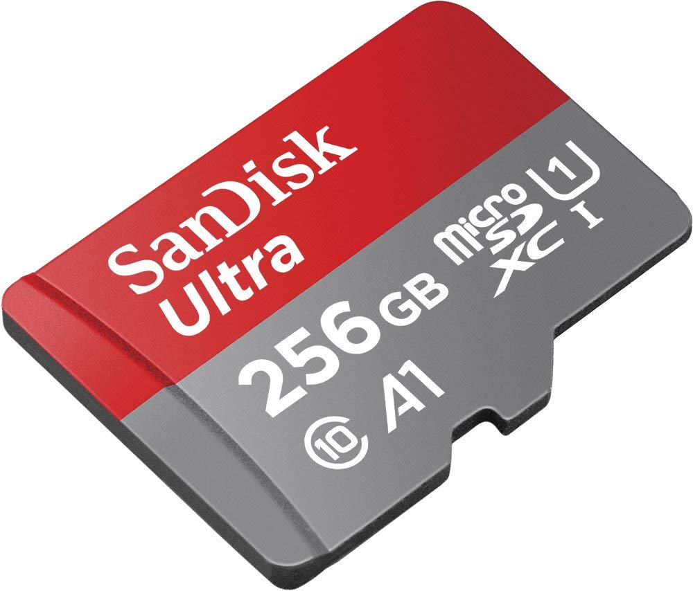 256GB MicroSD Memory Card U1306