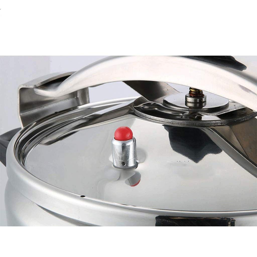 Stainless Steel Electric Pressure Cooker 3L J5678
