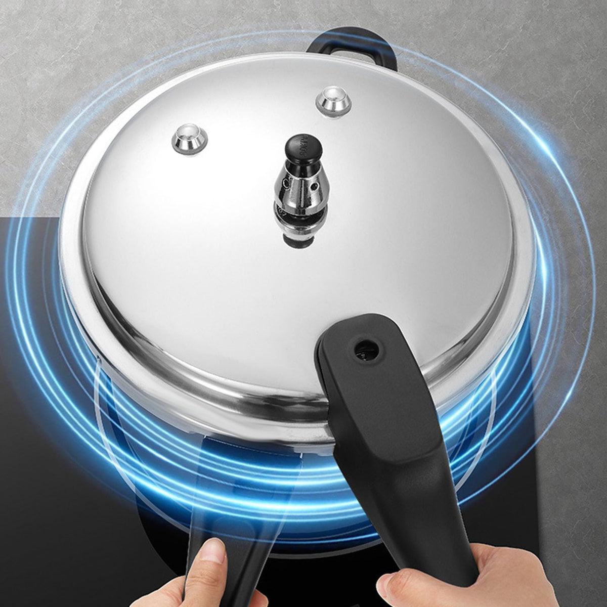Stainless Steel Pressure Cooker S960936