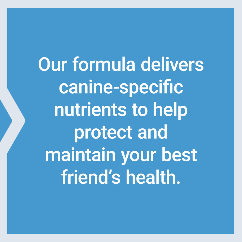 Dog Vitamins and Supplements 60 Servings H235169