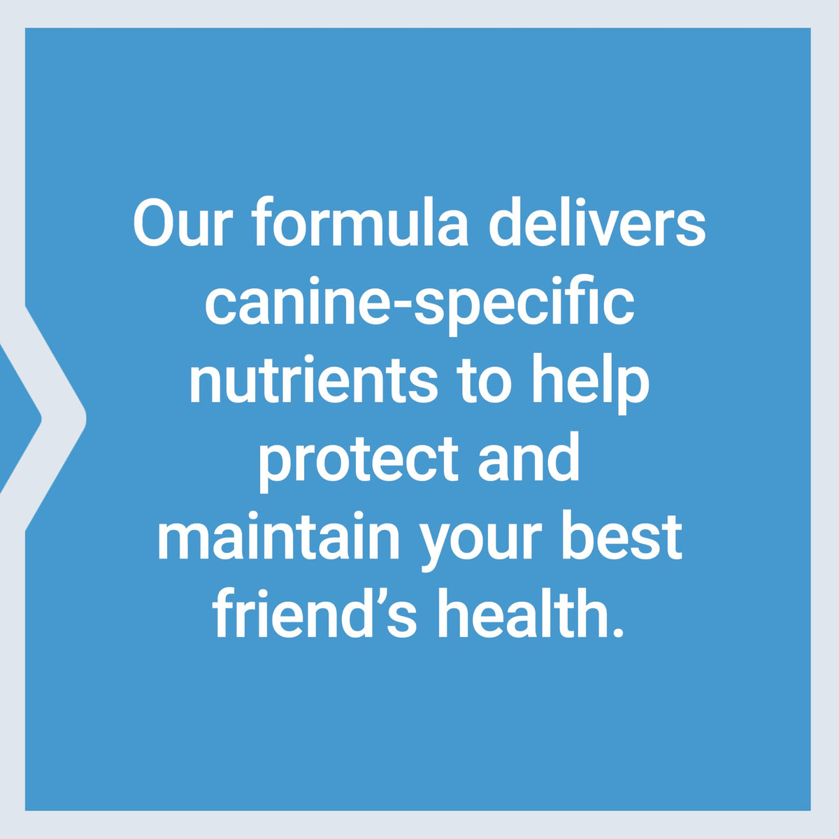 Dog Vitamins and Supplements 60 Servings H235169