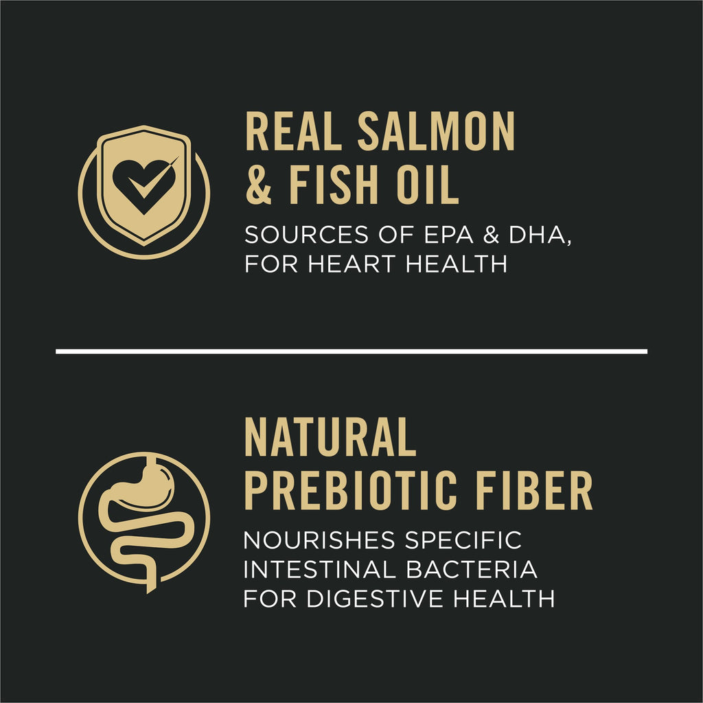 Salmon & Rice Dry Dog Food 40 lb. Bag L171441