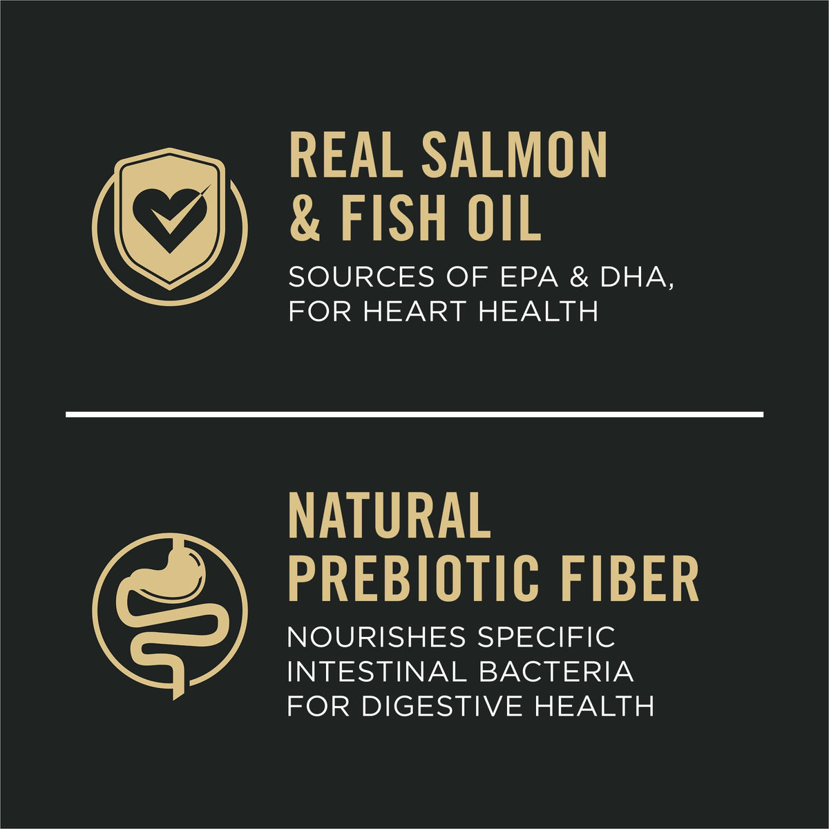 Salmon & Rice Dry Dog Food 40 lb. Bag L171441