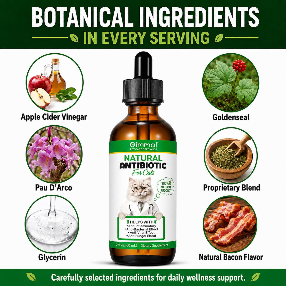 Cat Antibiotic Skin Repair J472594