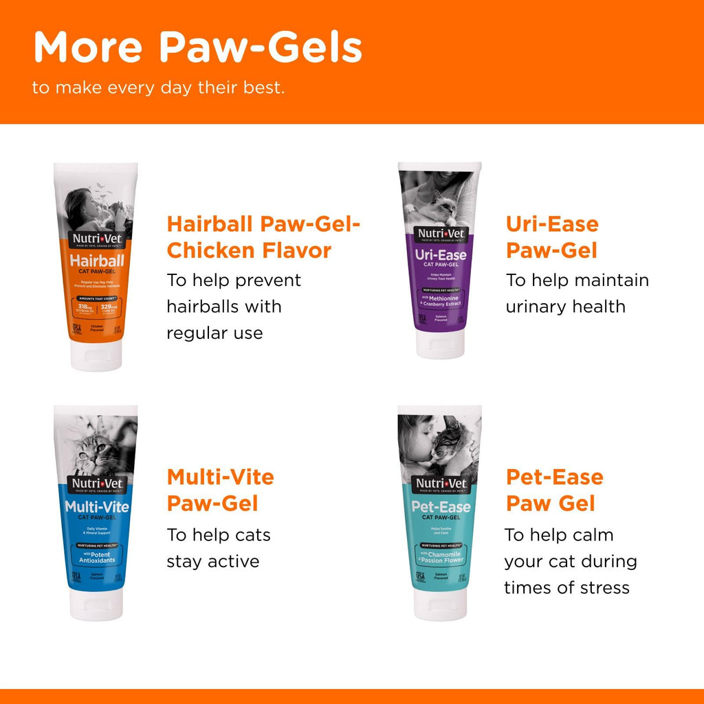 Salmon Flavor Hairball Gel for Cats E972