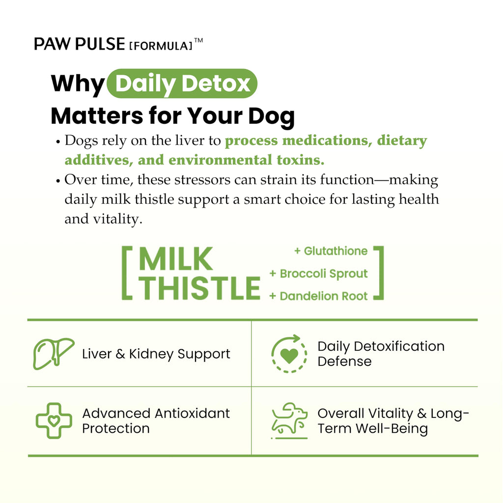 Milk Thistle & Silymarin Powder Liver Support for Dogs 2.12 oz X40648