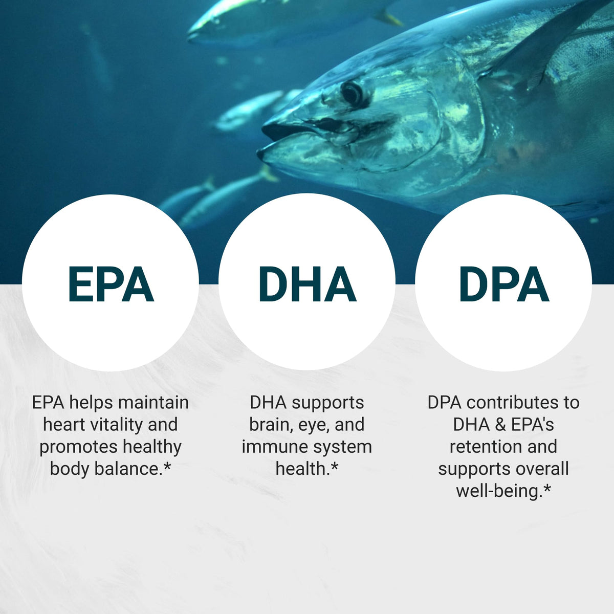 Omega 3 Fish Oil 1800mg 90 Softgels Z78502