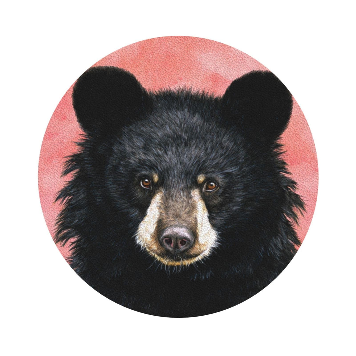 Black Bear Leather Coasters Set of 4 O936275
