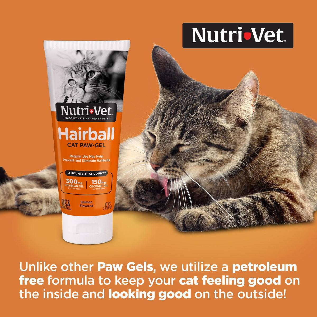 Salmon Flavor Hairball Gel for Cats E972
