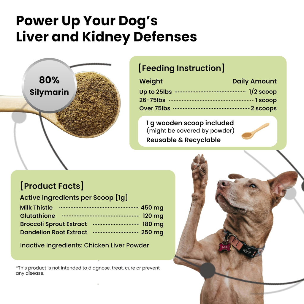 Milk Thistle & Silymarin Powder Liver Support for Dogs 2.12 oz X40648