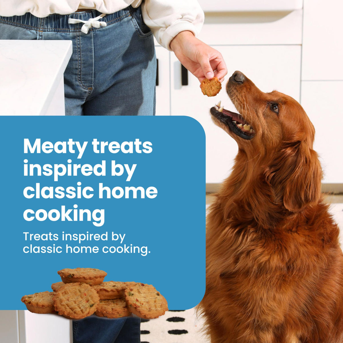 Chicken Dog Treats 16 oz P18536