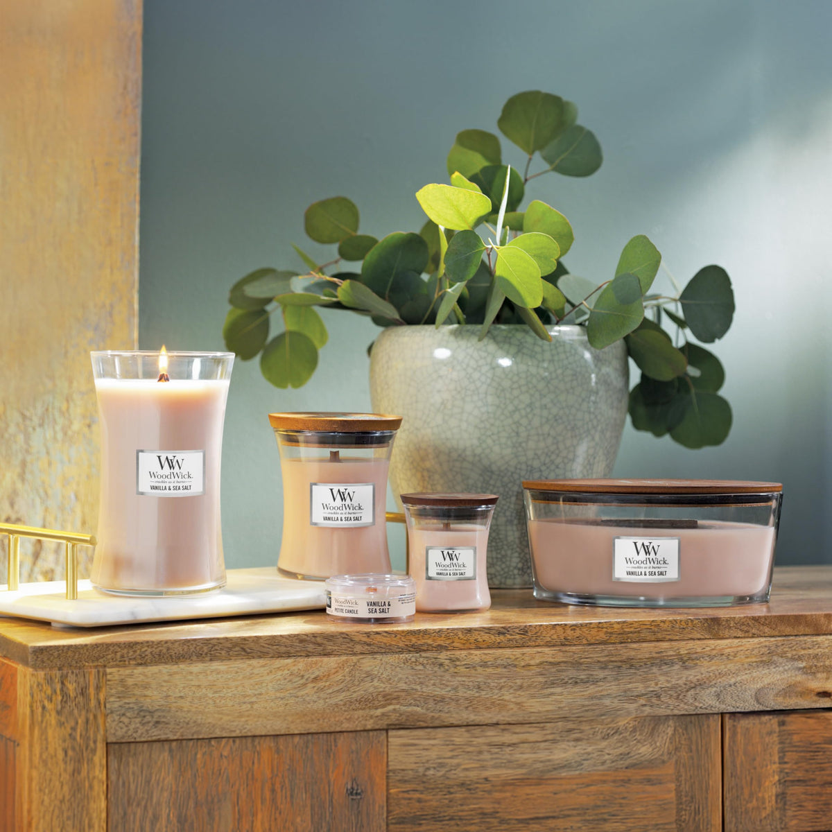 Vanilla & Sea Salt Scented Candle W84429