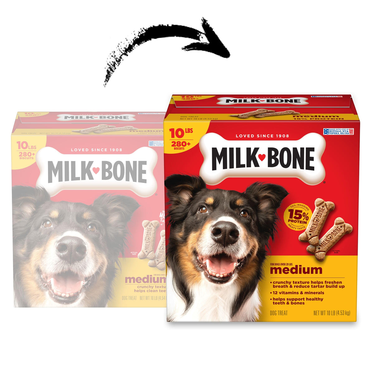 Medium Dog Biscuits 10 lb Box X472