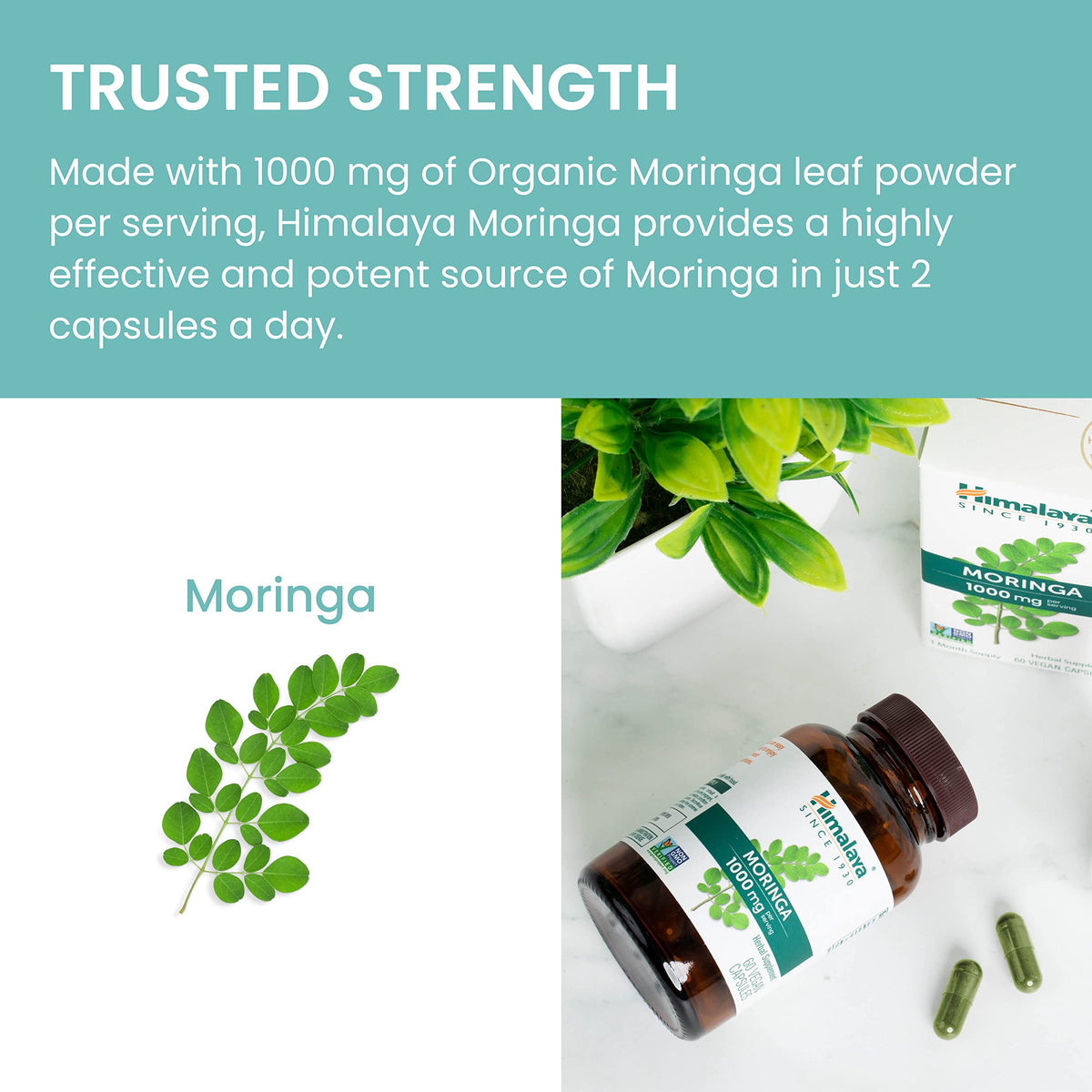 Organic Moringa 1000 mg 60 Capsules U183644