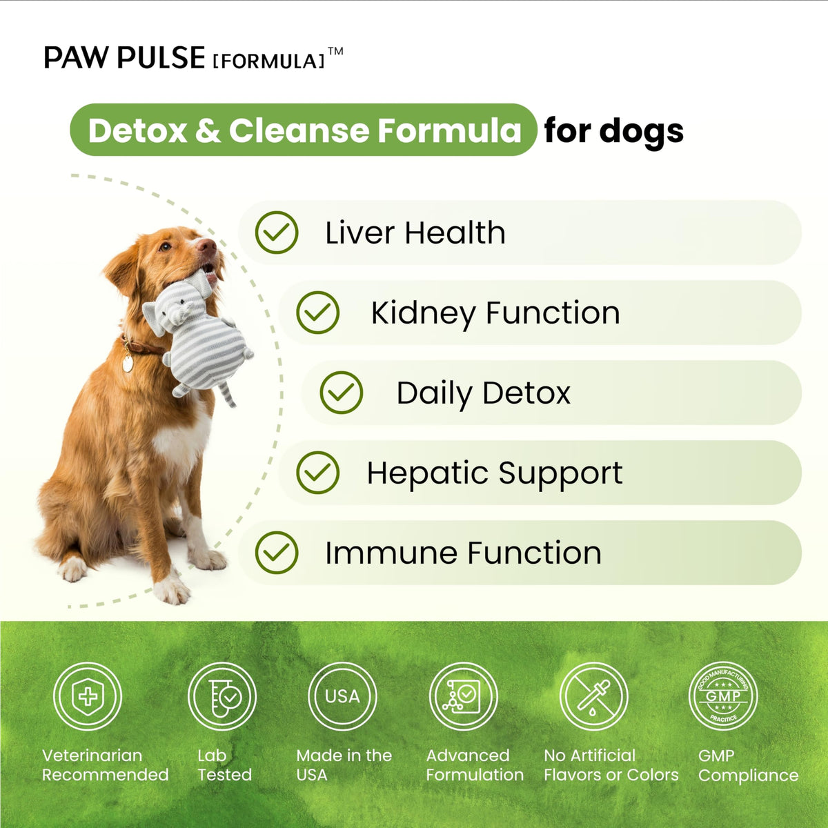 Milk Thistle & Silymarin Powder Liver Support for Dogs 2.12 oz X40648