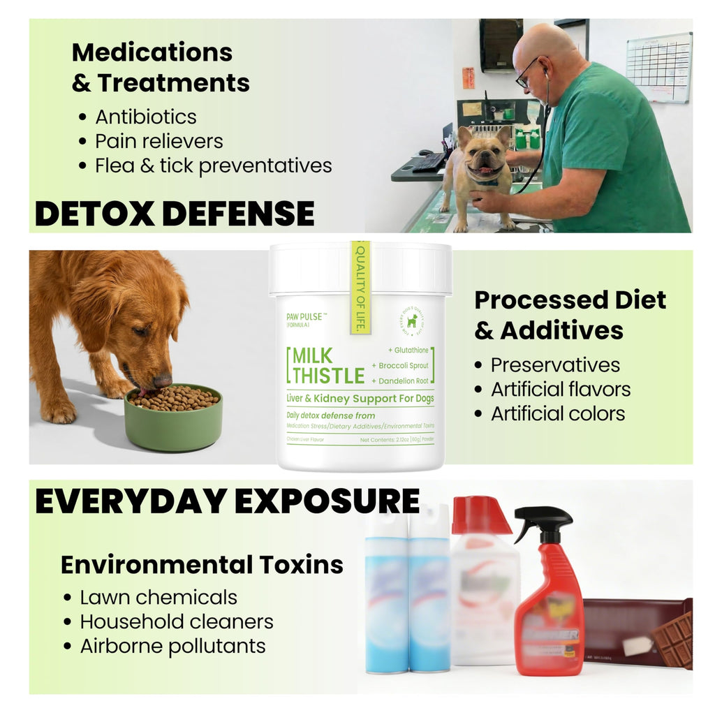 Milk Thistle & Silymarin Powder Liver Support for Dogs 2.12 oz X40648