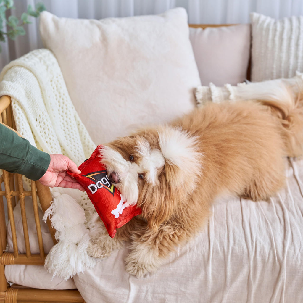 Plush Squeaker Toy for Small and Medium Dogs J48142