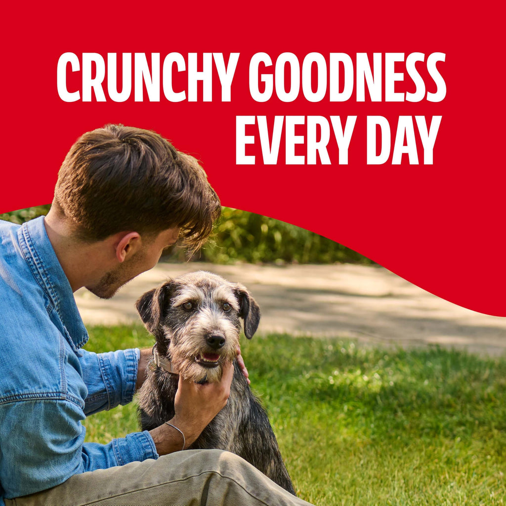 Medium Dog Biscuits 10 lb Box X472