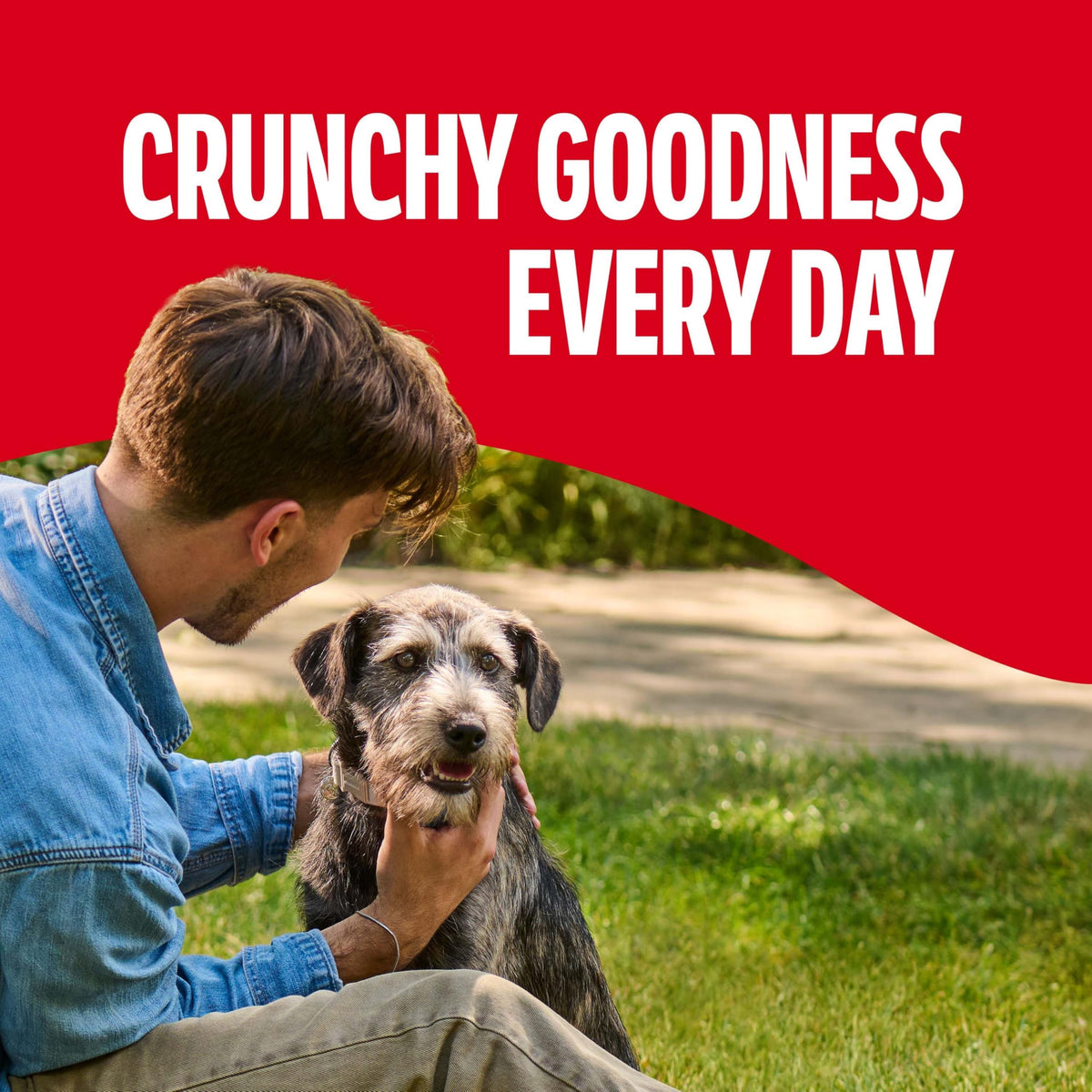 Medium Dog Biscuits 10 lb Box X472